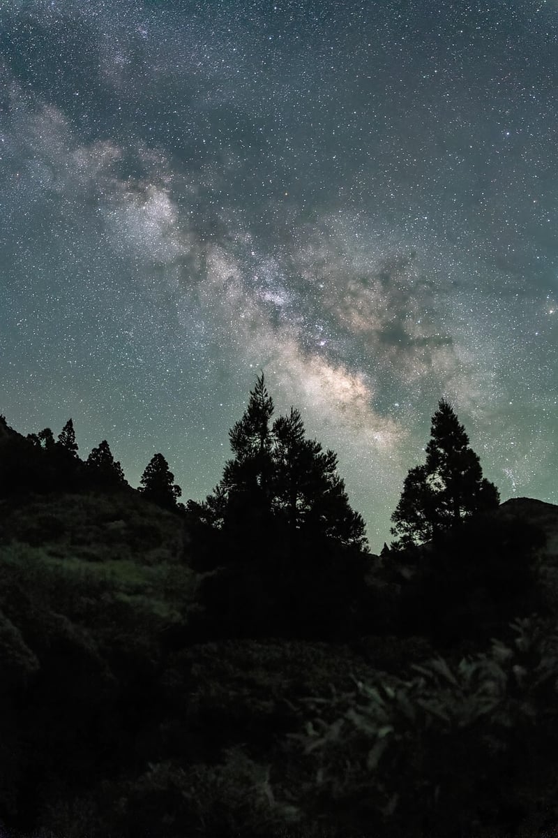 Galaxy and Stars